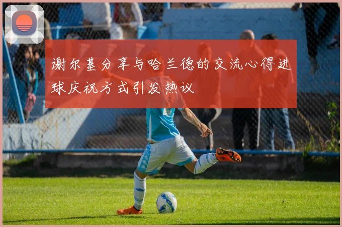 谢尔基分享与哈兰德的交流心得进球庆祝方式引发热议